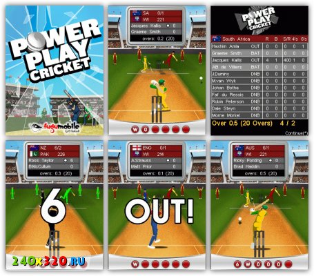 Крикет: Powerplay Cricket